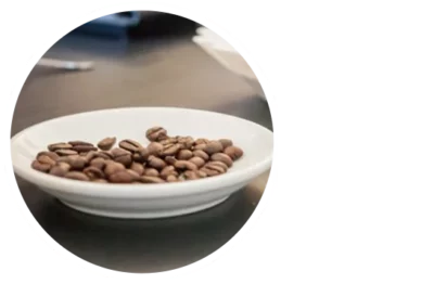 La-tostatura-03